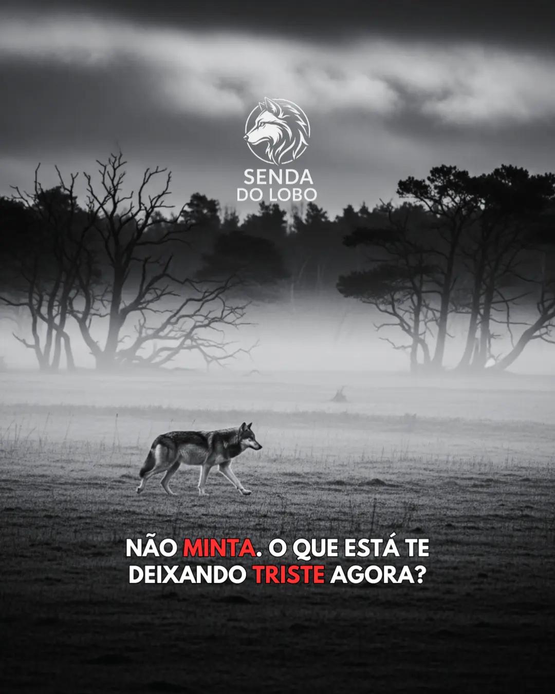 @Senda do Lobo