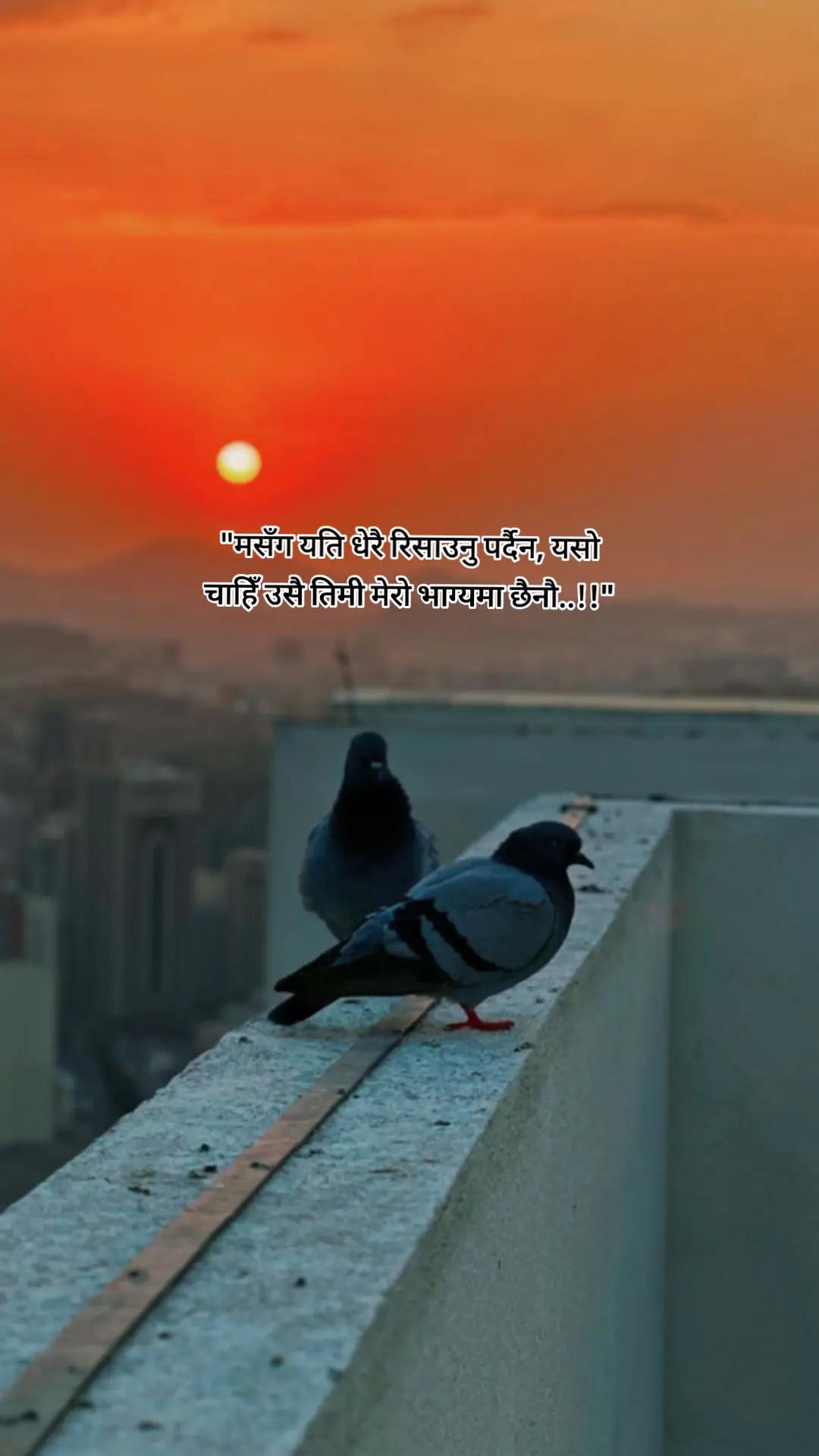 @gyanu🦚🫀
