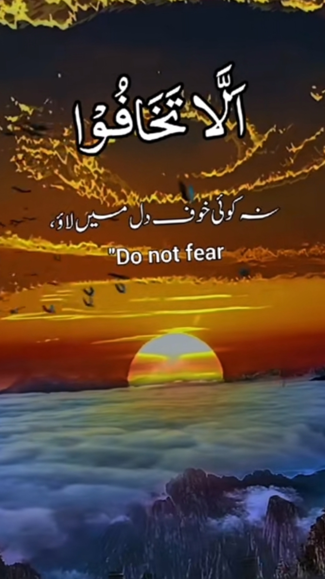 @AliRaja