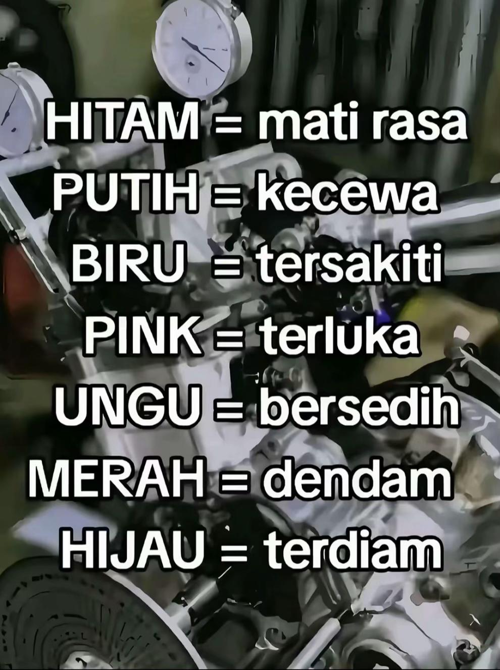 @Yogi Tri
