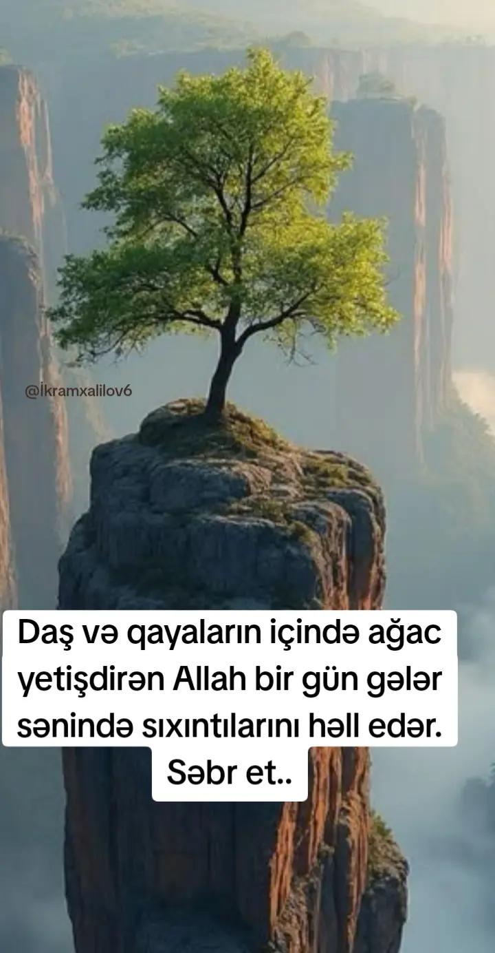 @Ikram Xalilov