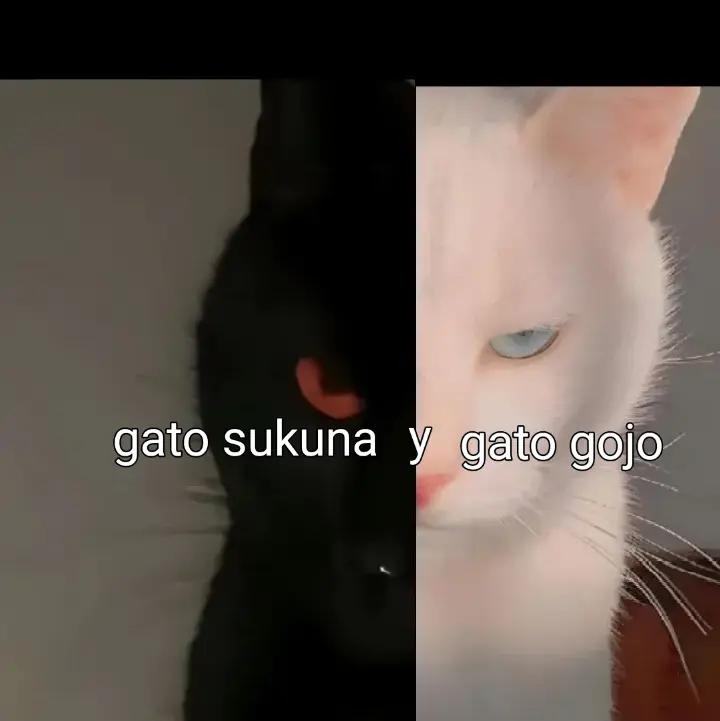 @kiraf