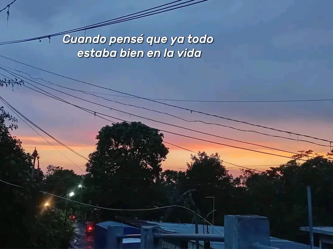 @Daniela Esquivel