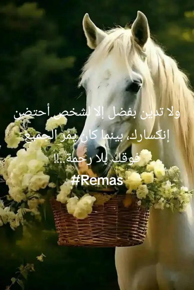 @ليلى فهد الشمالي