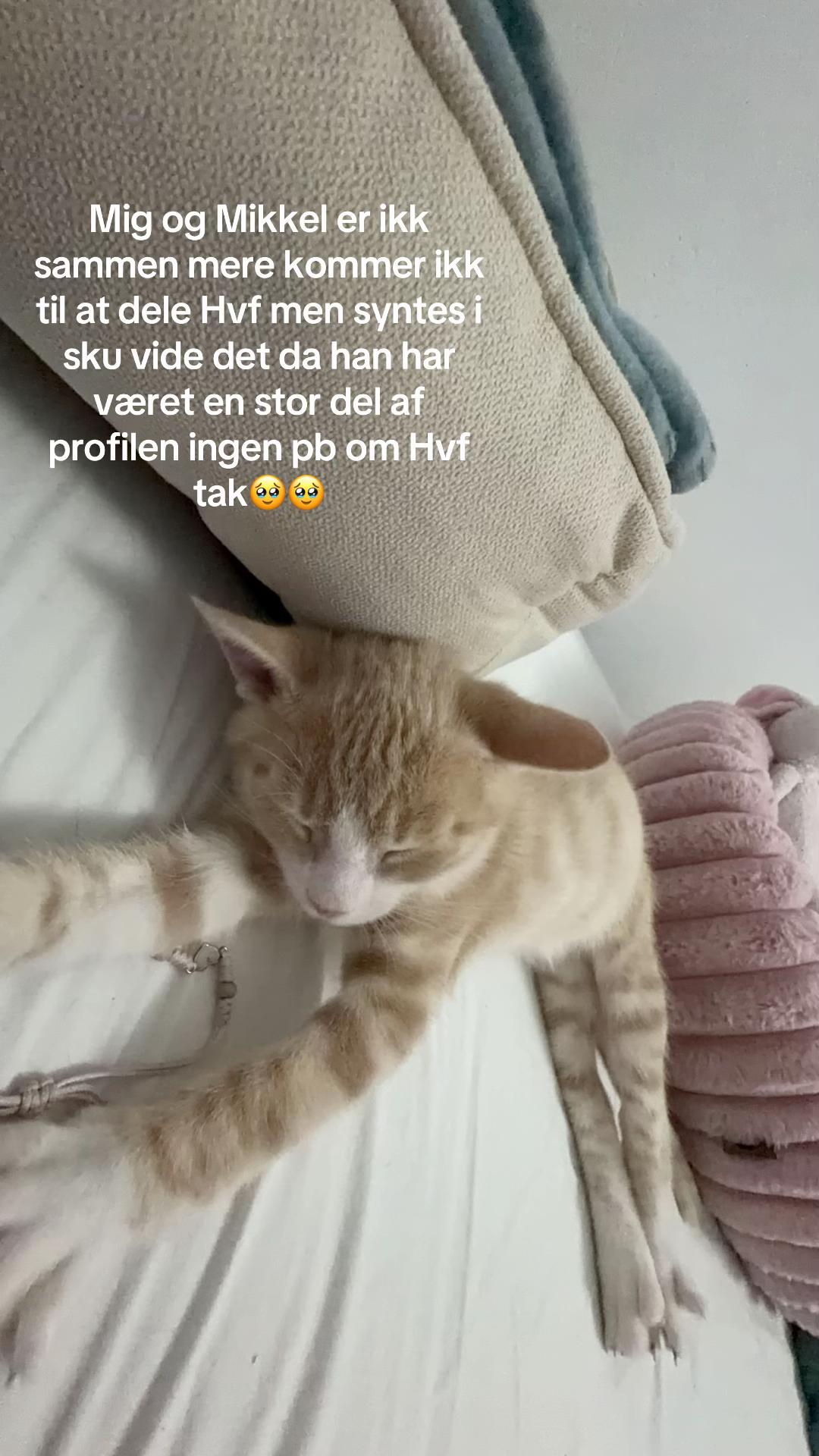 @โ๐พ๐ถ๐๐๐ถ-โ๐พ๐๐๐