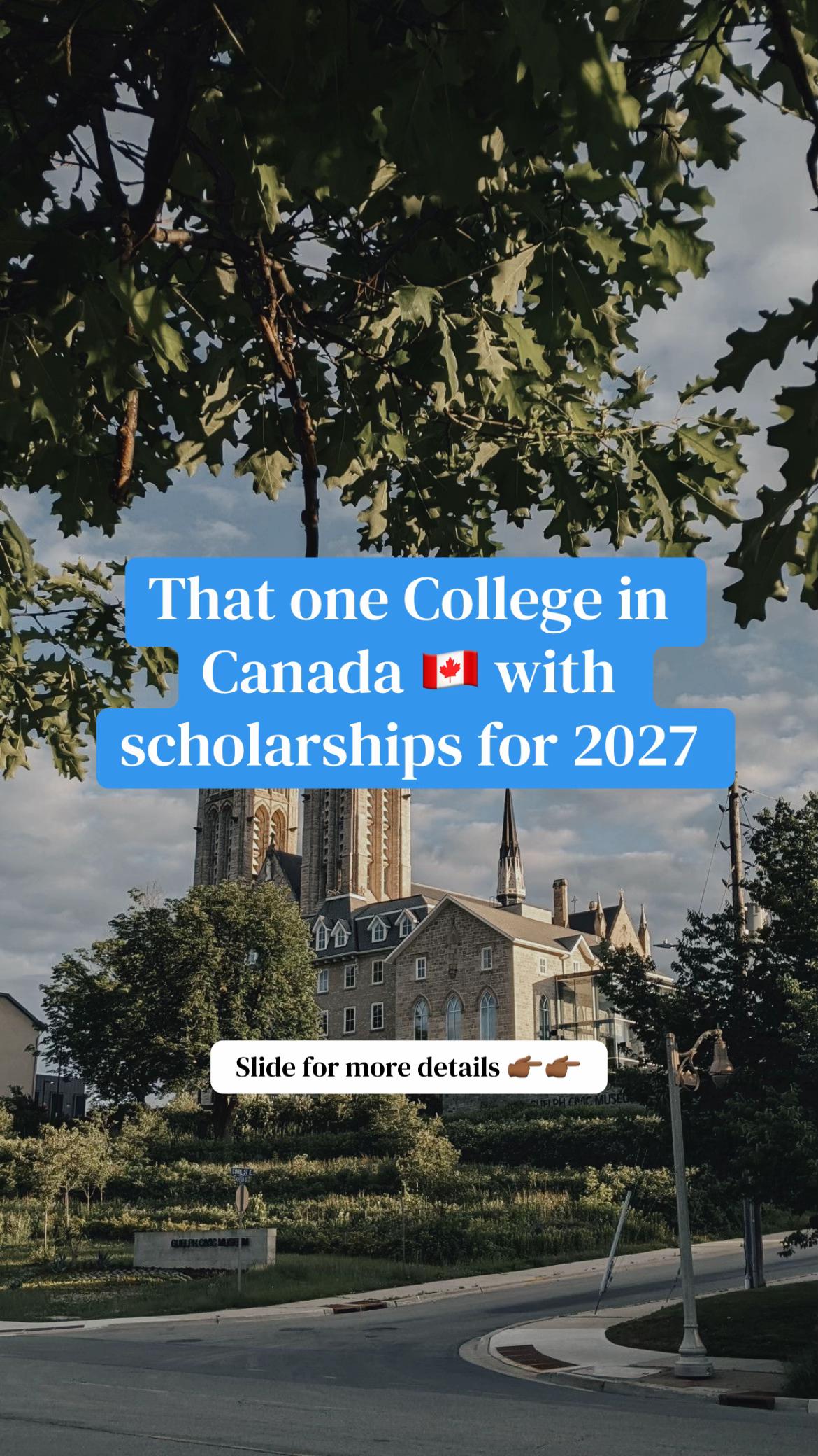 @Your Surest Study Abroad Plug