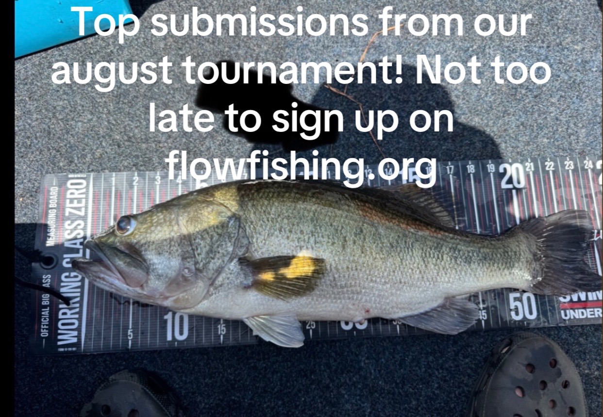 @fishing with the flow13