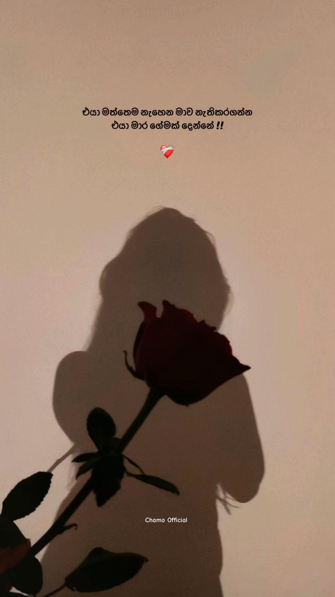 @< 𝐂𝐡𝐚𝐦𝐨 ᥫ᭡
