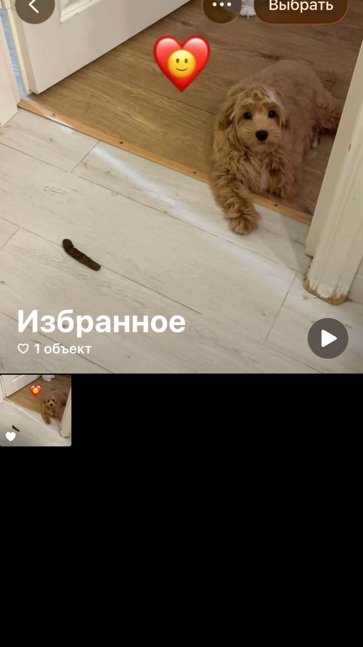 @тгк:имбирная🧘🏽♀️