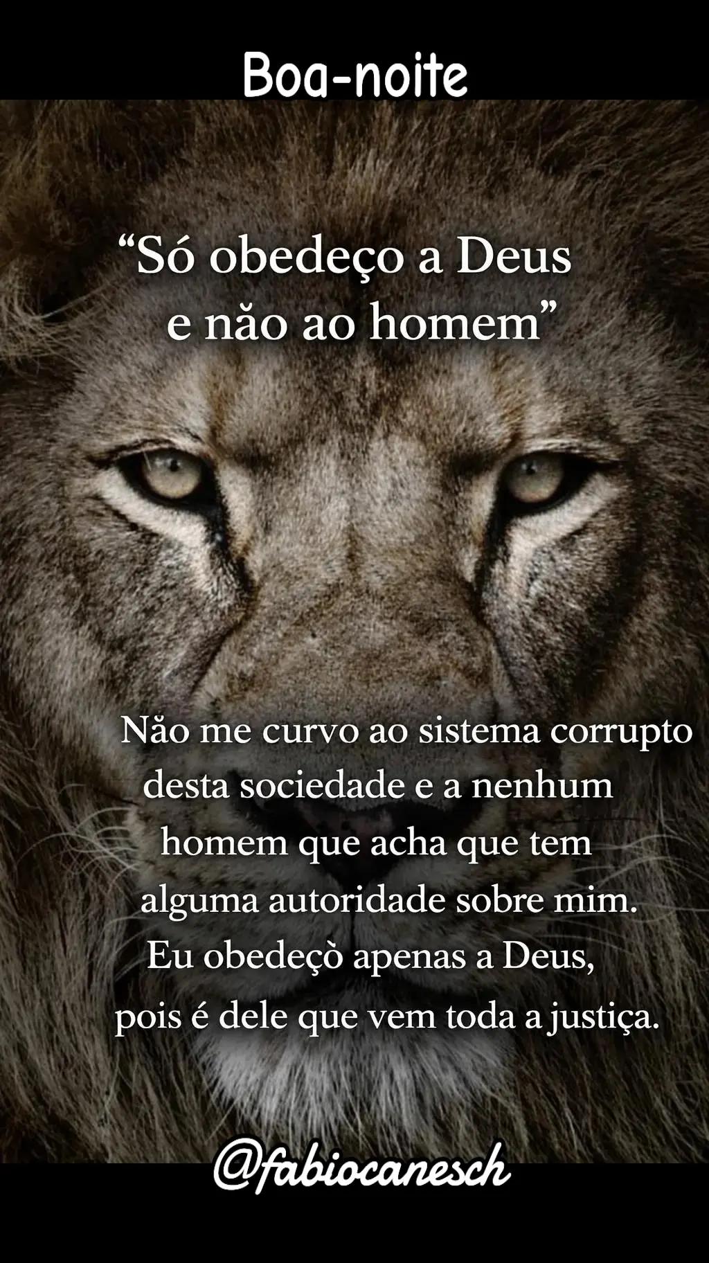 @F&aacute;bio caneschi de Oliveira