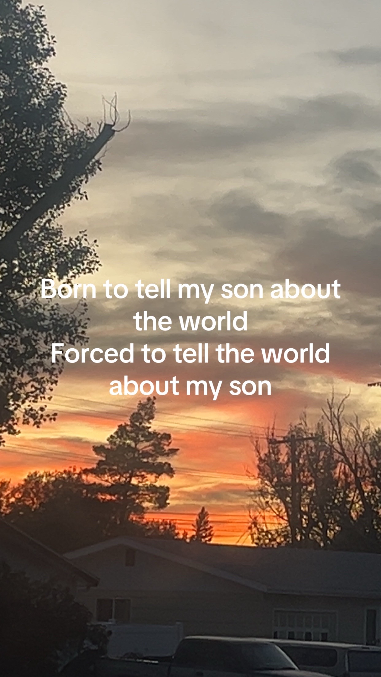 @Jennifer Rayner