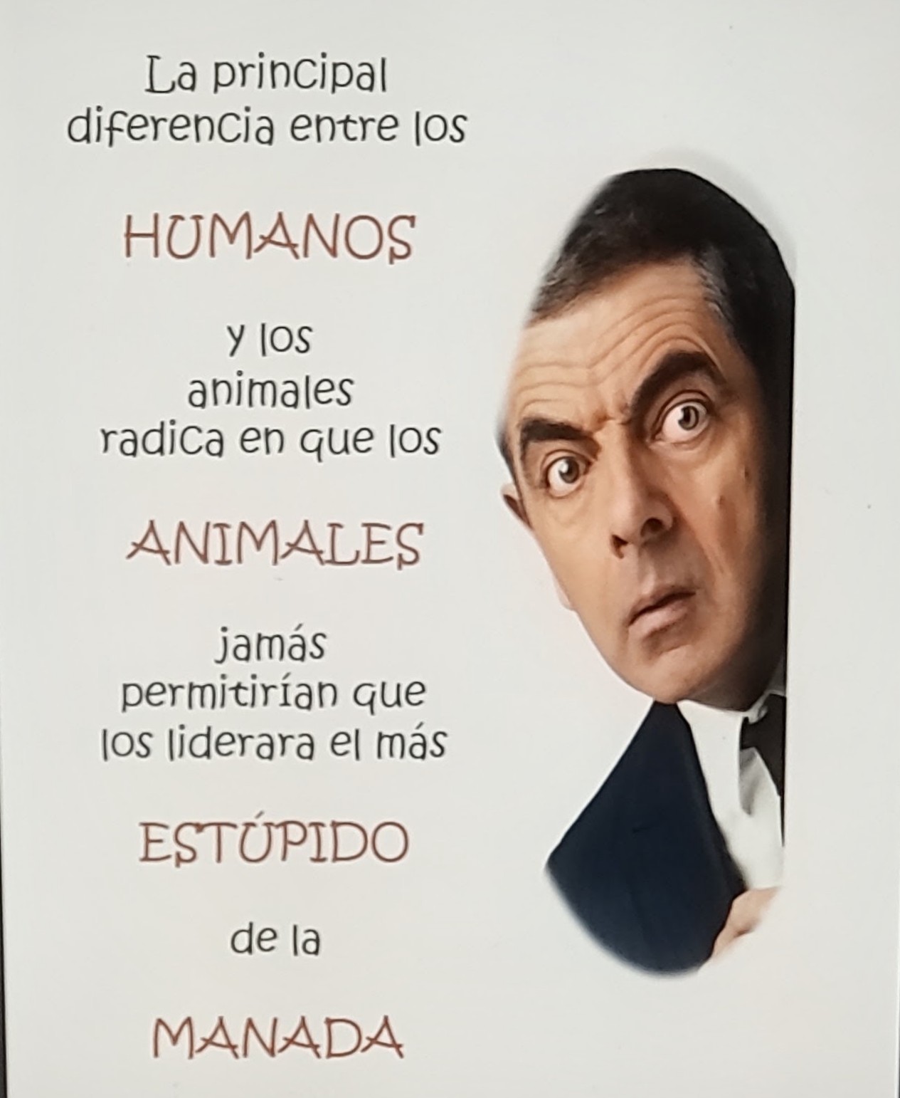 @U.E MORAL Y LUCES