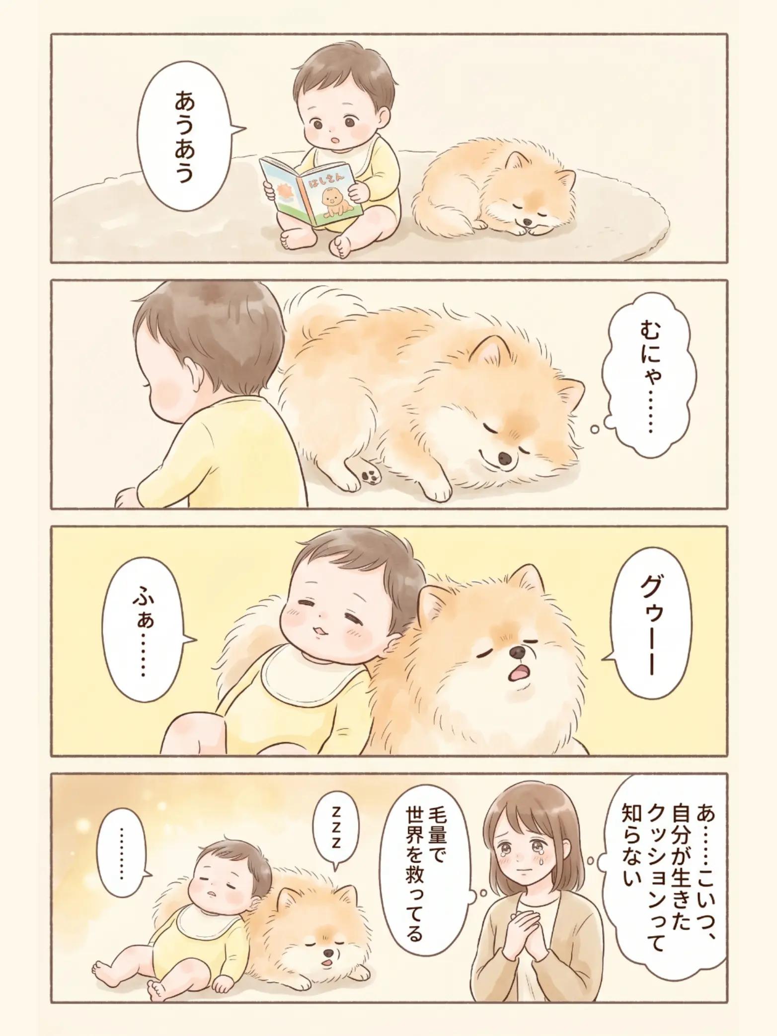 @都内のチワワ
