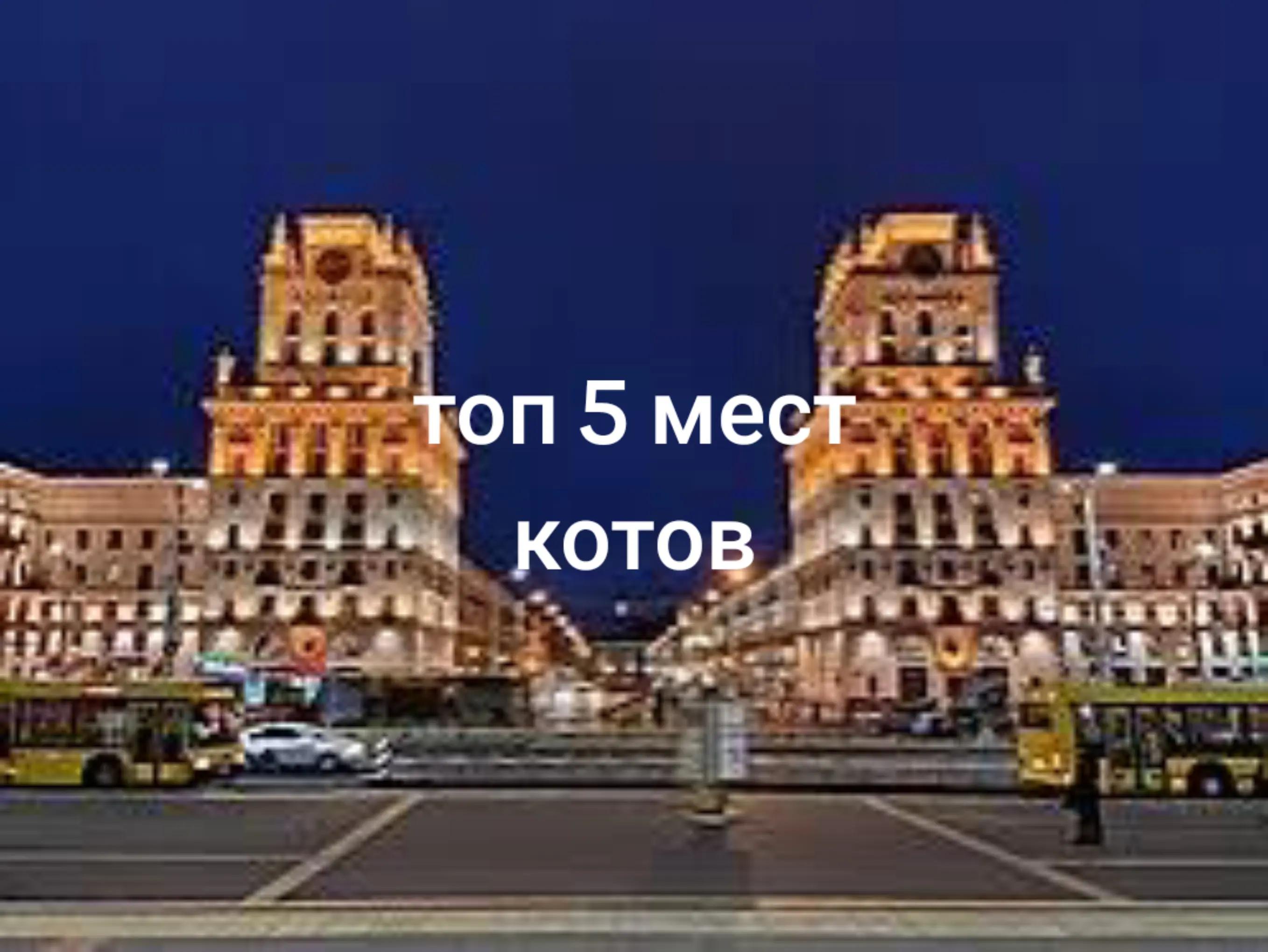@крыса🐀