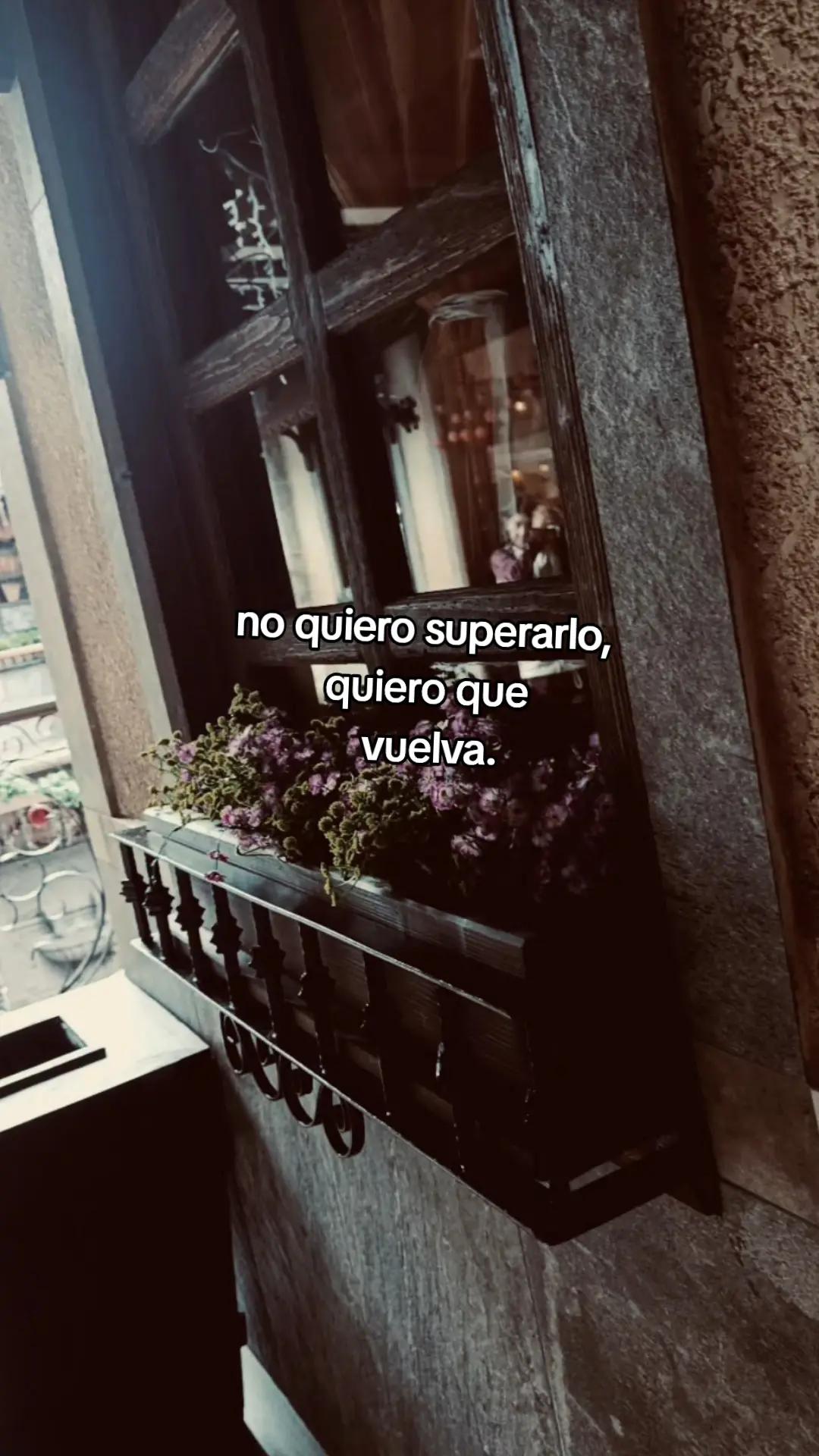 @Regis 📖🩷