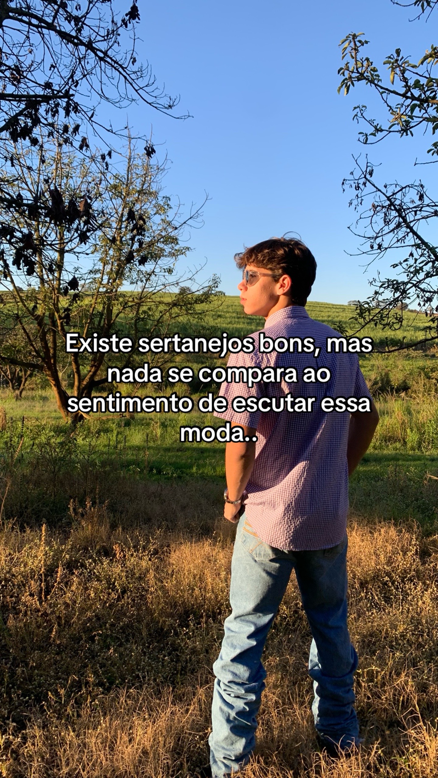 @joão sanches