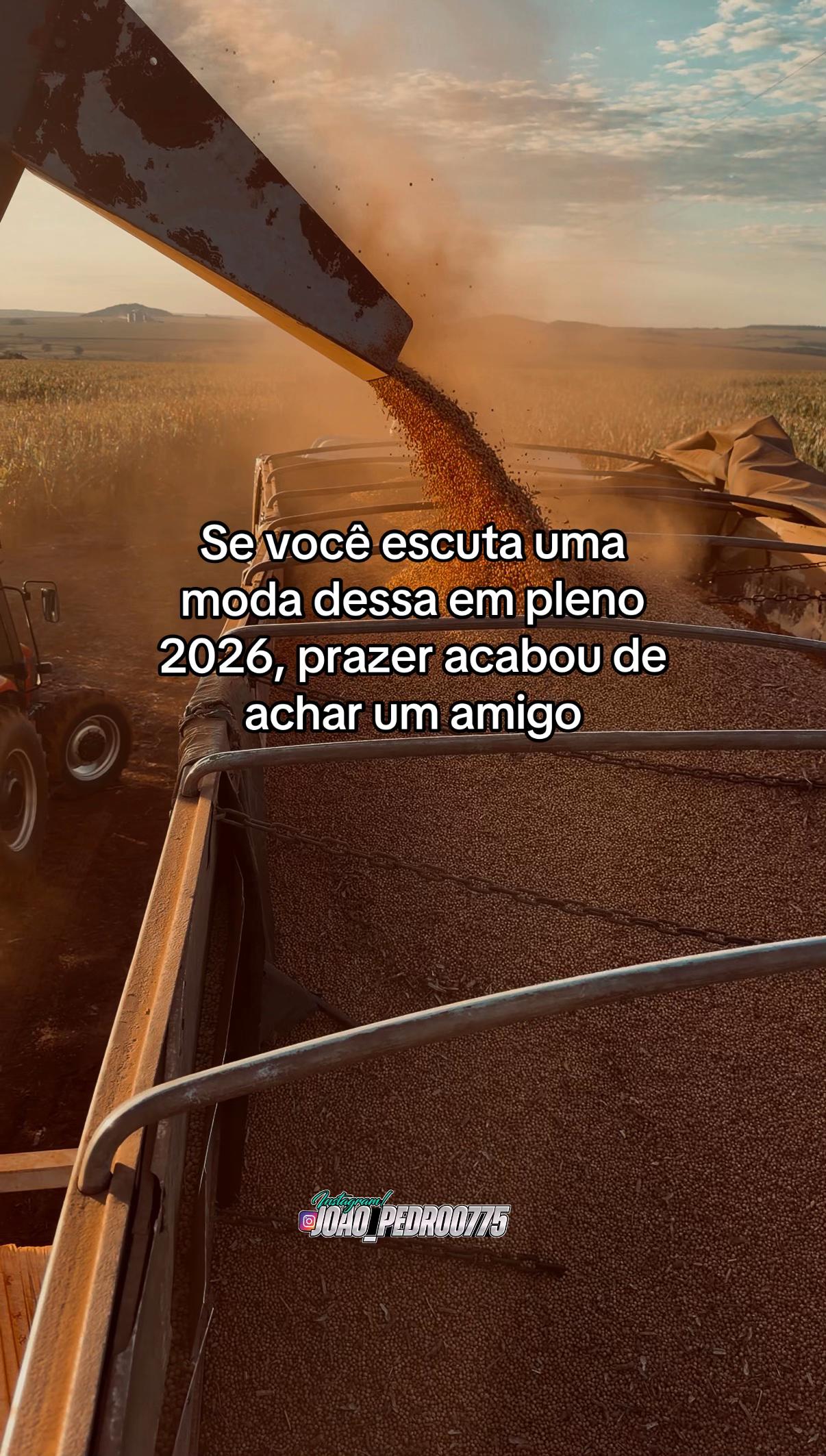 @joao_pedro0775