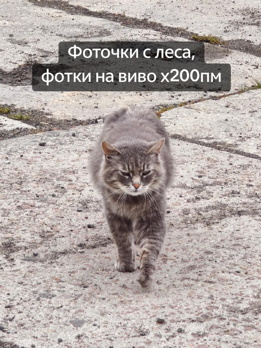 @Крипер 🛤