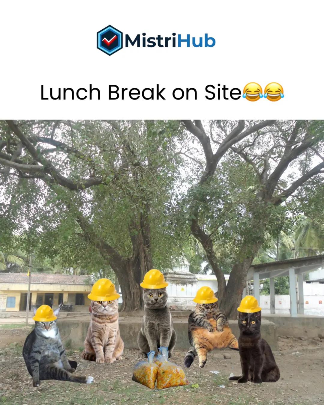 @MistriHub