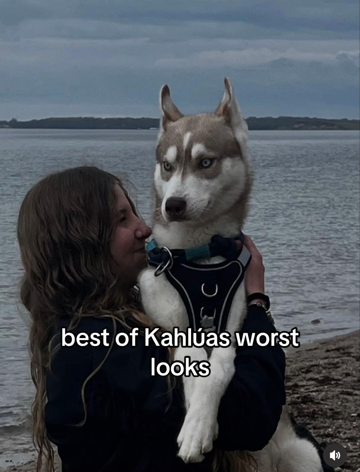 @Pit&uacute; & Kahlua