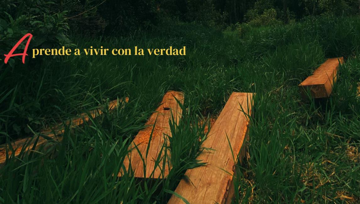 @𝑳𝒊𝒔𝒃𝒆𝒕𝒉 🦢🪞
