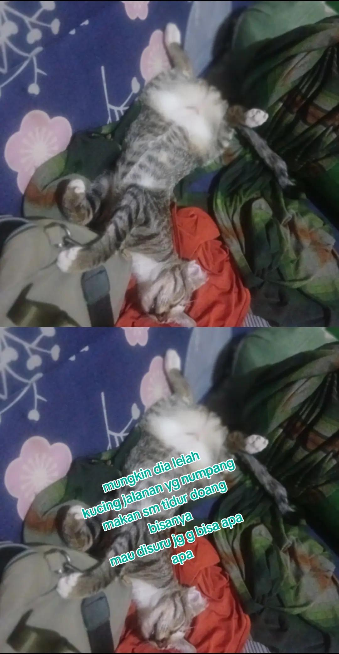 @toko sembako elifah syifah