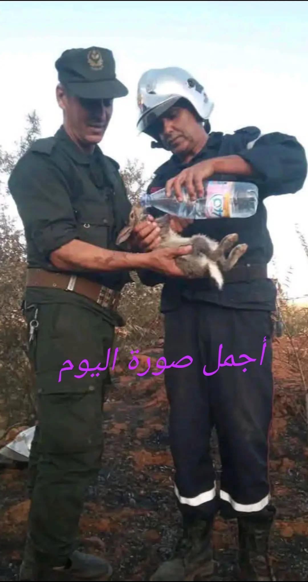 @بلقاسم كزاوا كزاوا