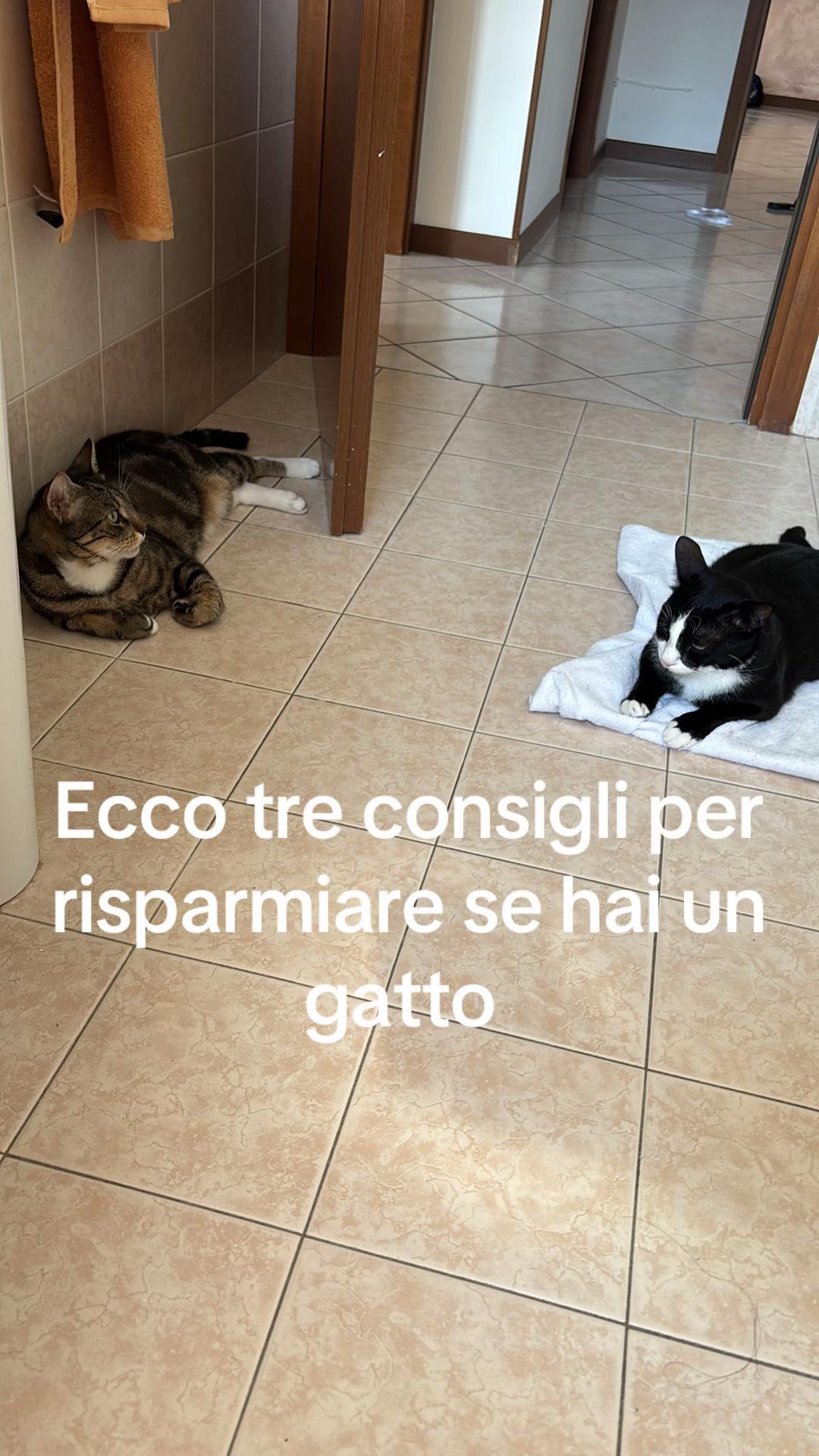 @Marika Pedrali