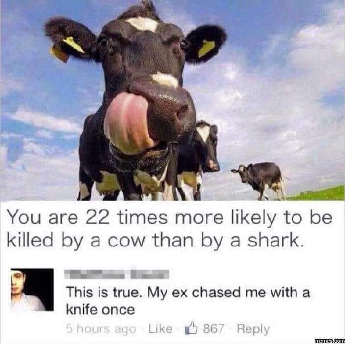@sharonlovesgarlicbread✂️
