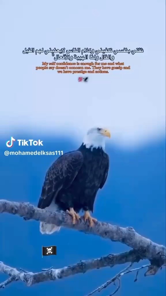 @خالد عادل عفيفي