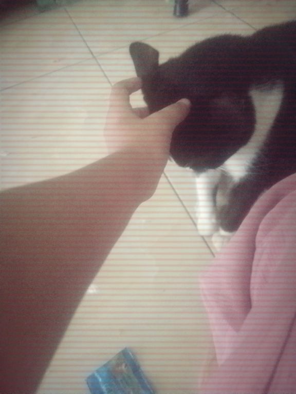 @💞Noenoen💞