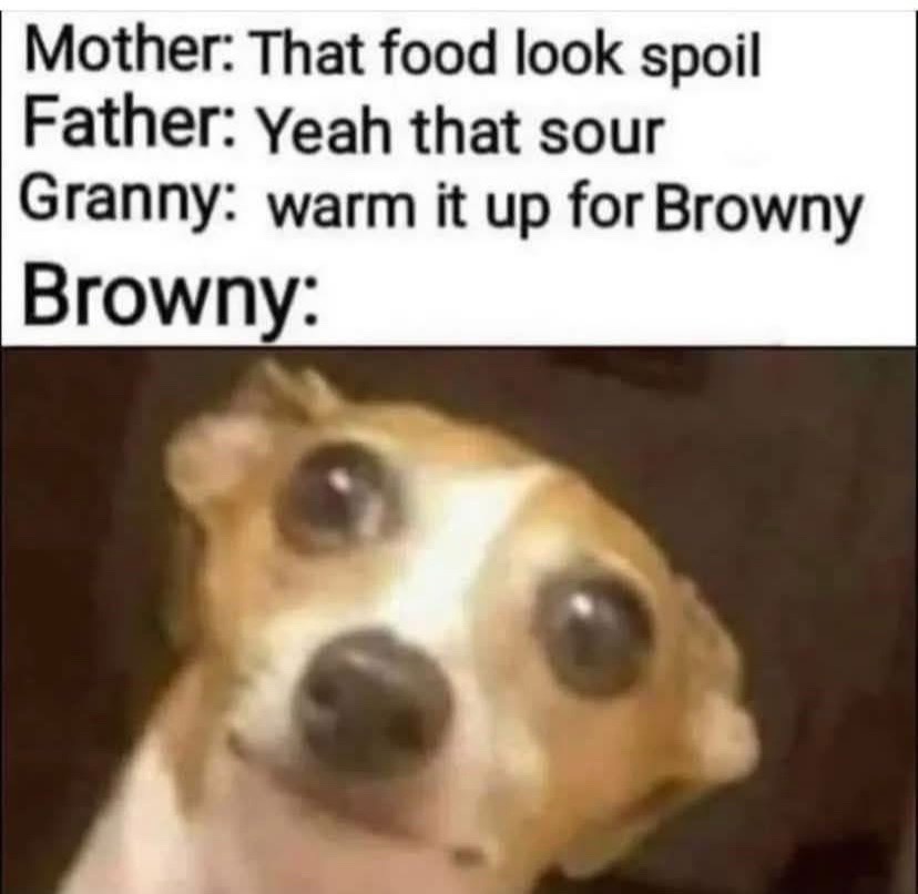 @Funny memes