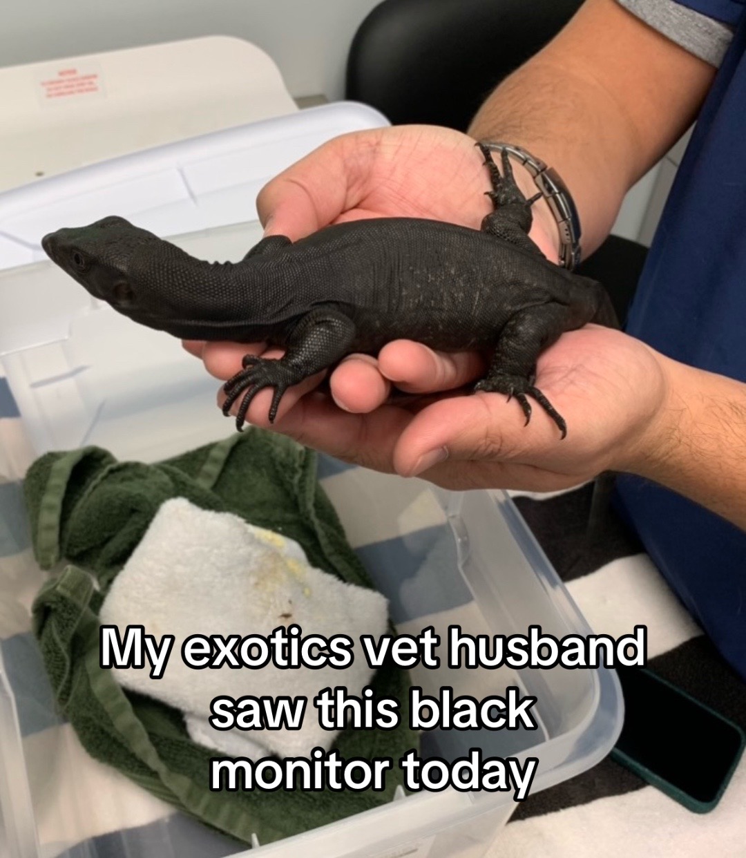 @ExoticsVetsWife