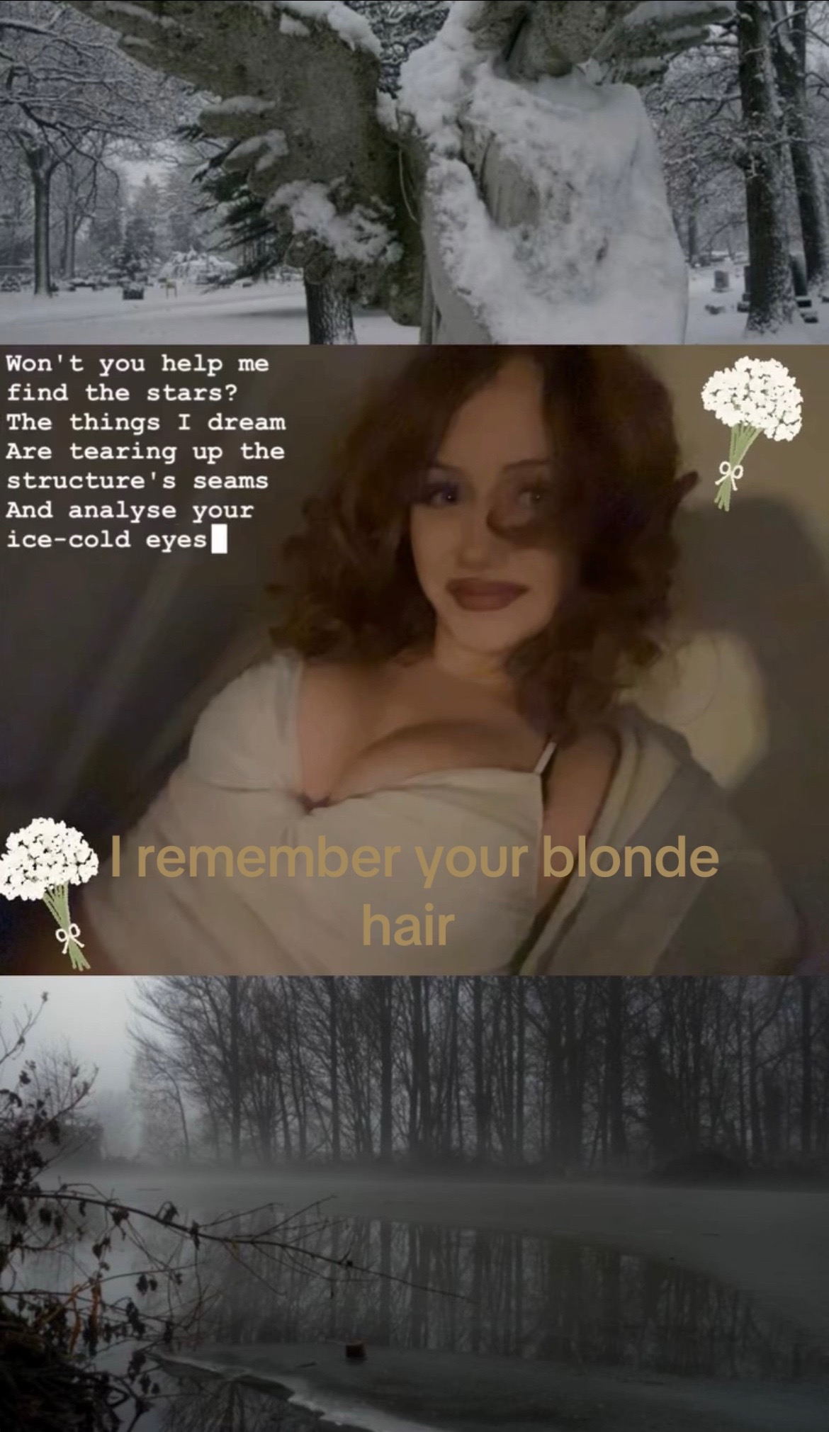 @🐈&zwj;⬛