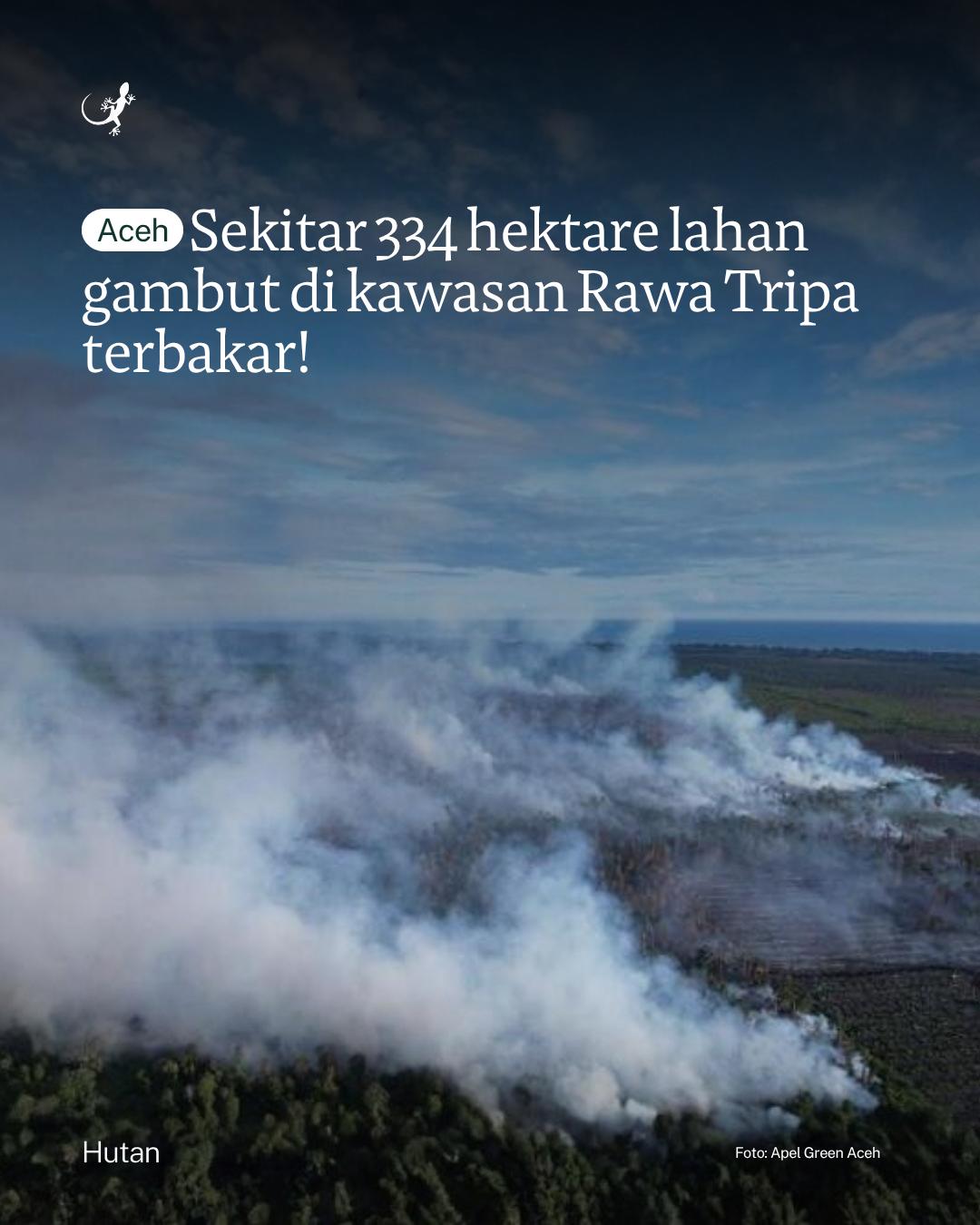 @mongabayindonesia