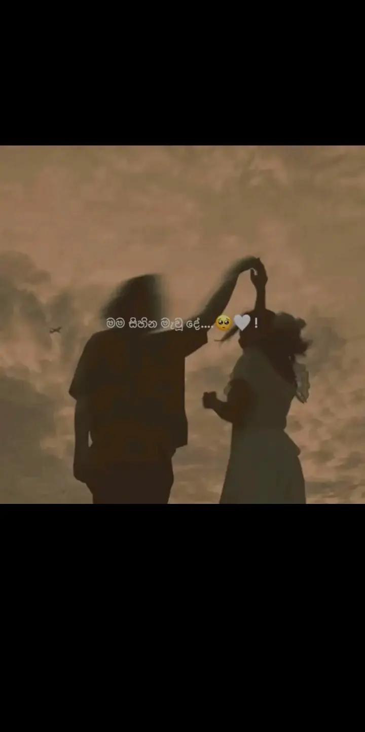 @___rashiniperera___