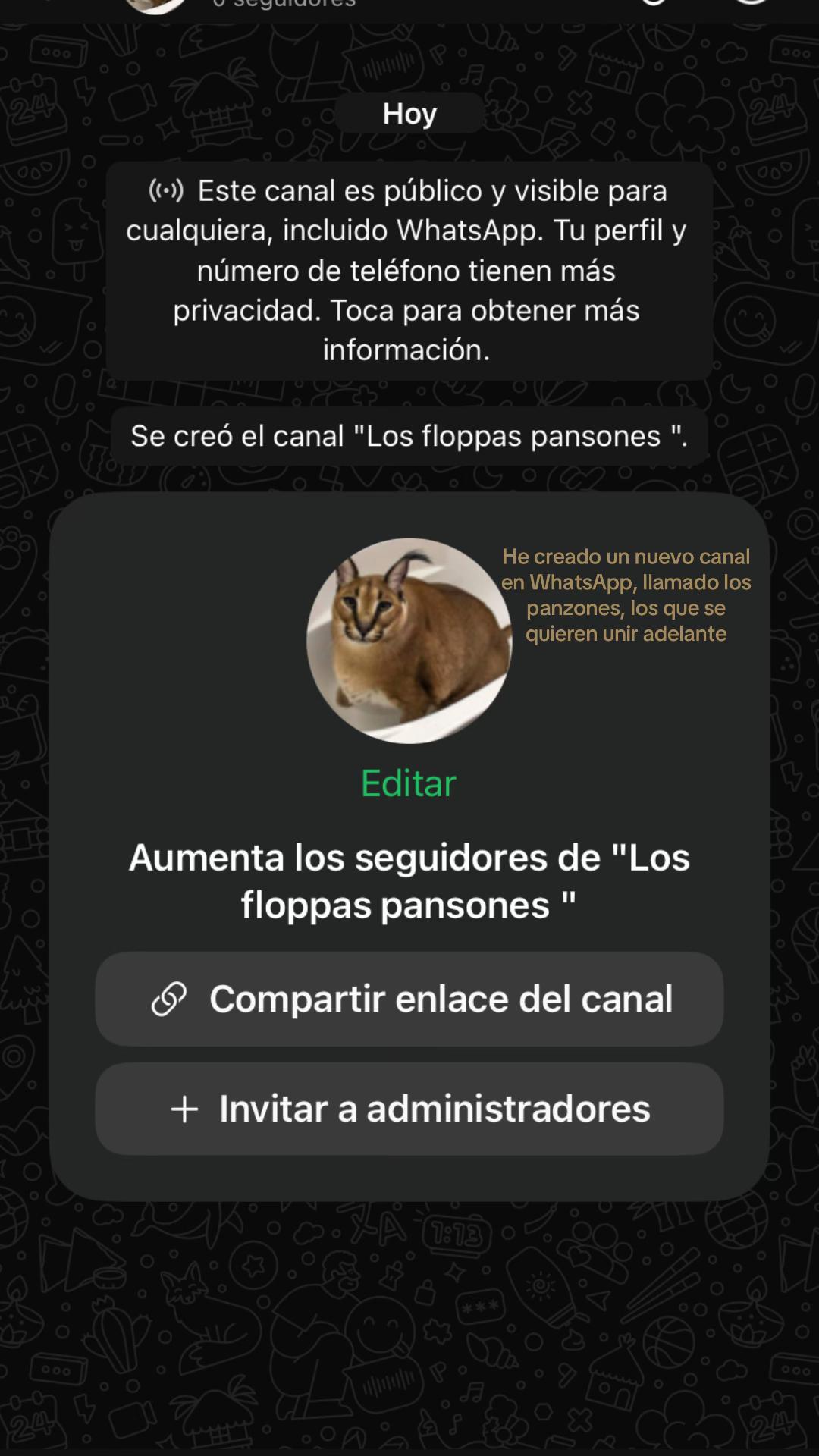 @Caracal fino