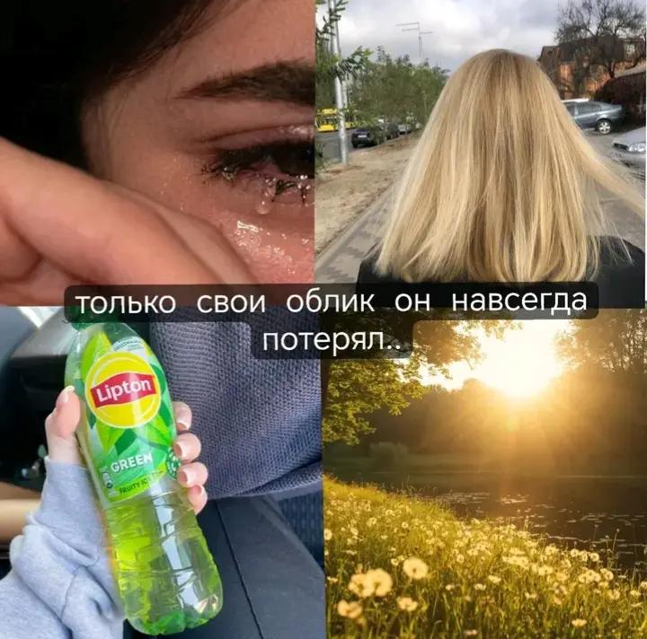@✨🌺Лисёнок🌺✨