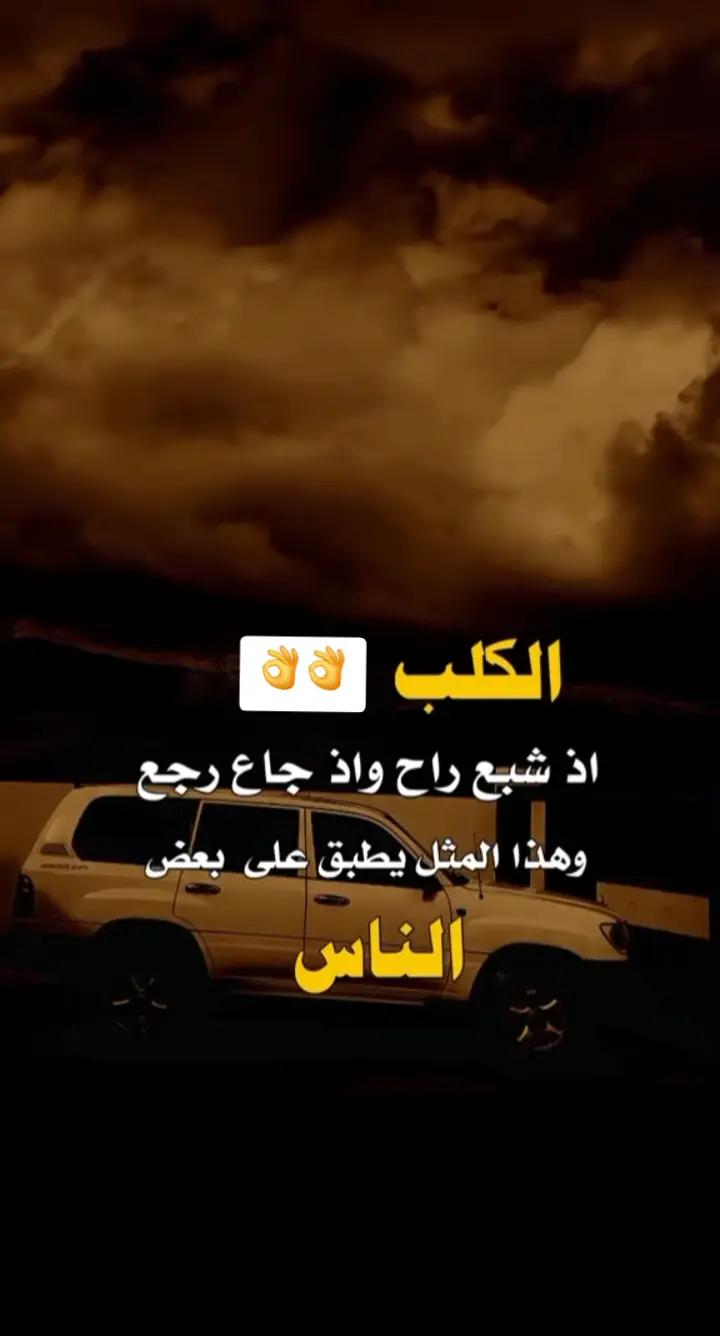 @مراد سويد ❤️🔥🦅