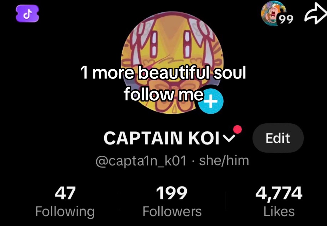 @CAPTAIN KOI