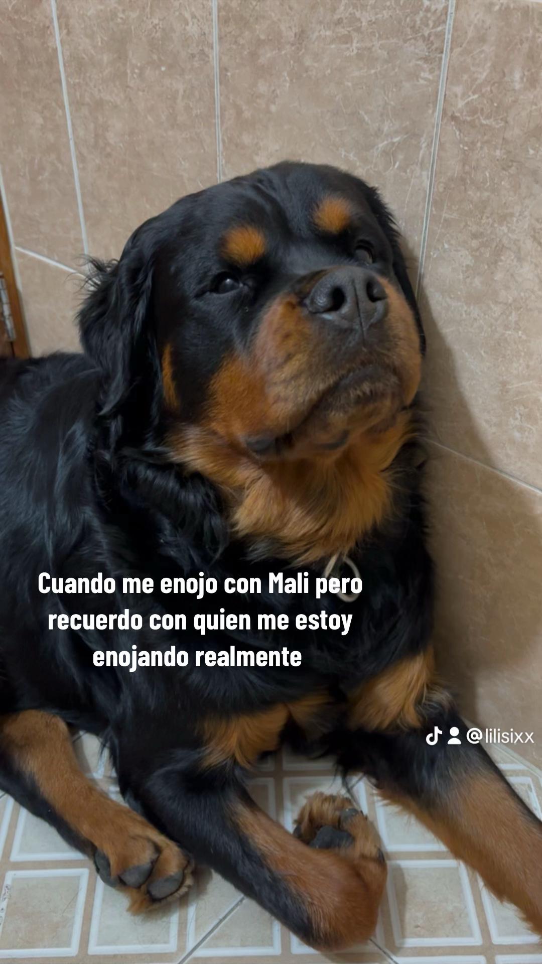 @Lili Sixx