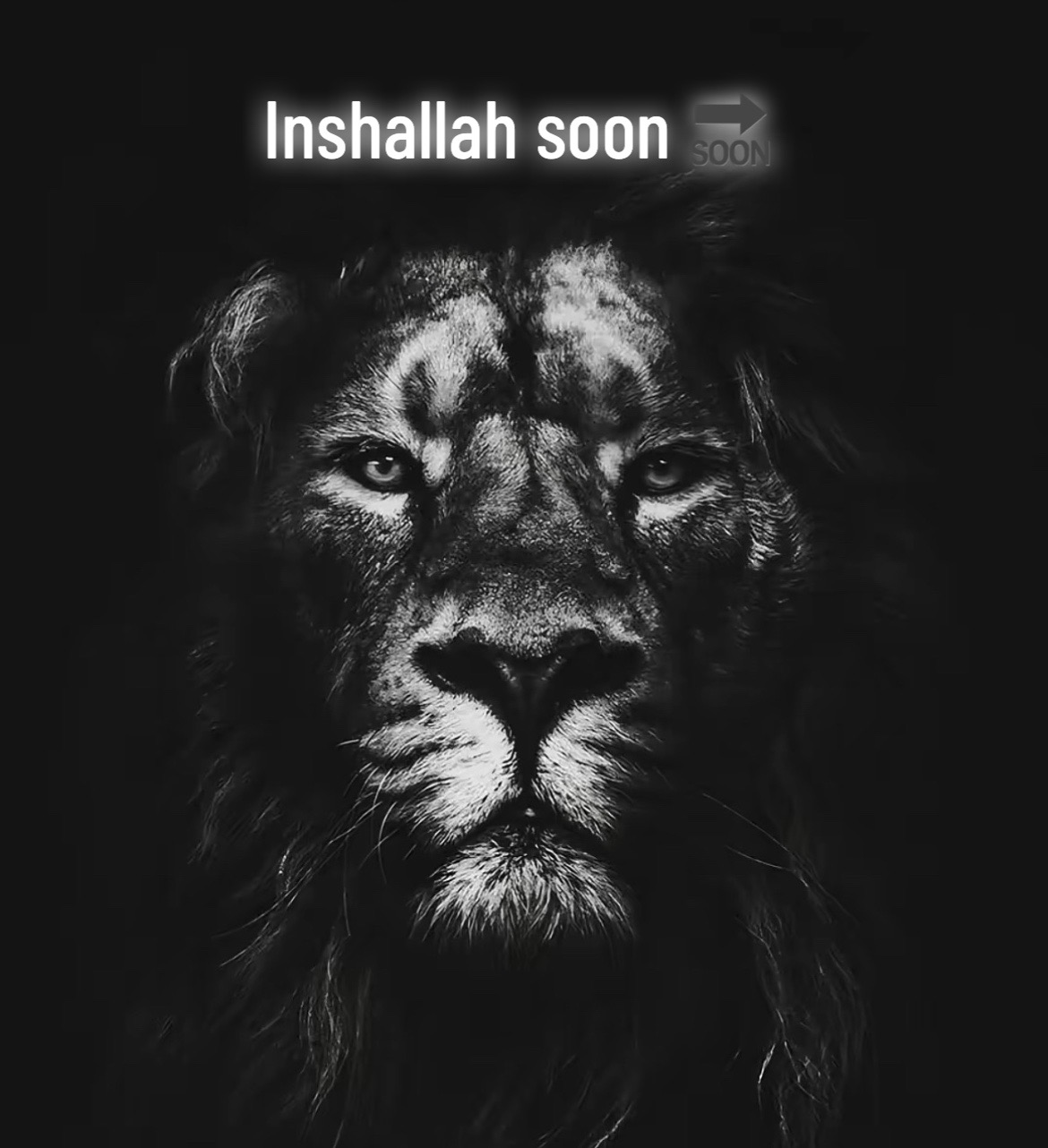 @𓆩الهام افغان باز𓆪 🦅🇦🇫