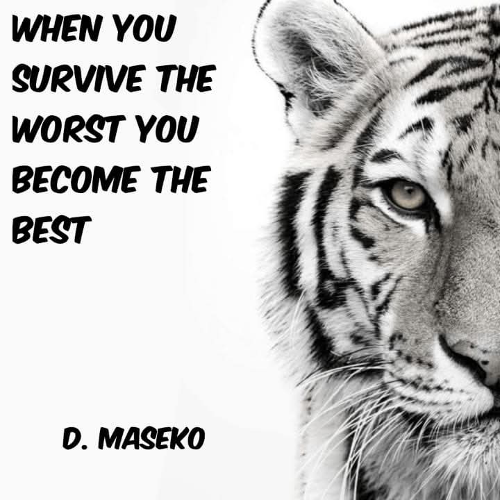 @Dineo Maseko _75