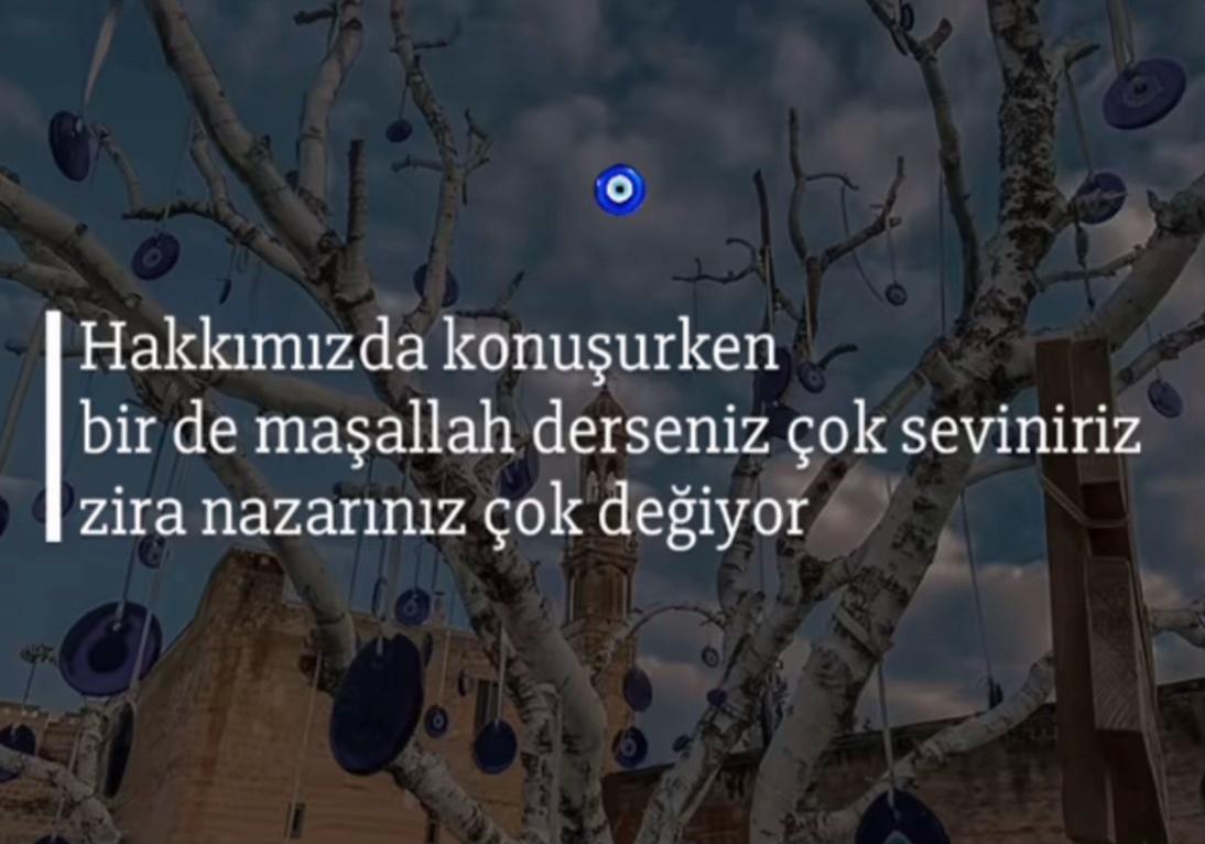 @Nonna Narmanoğlu
