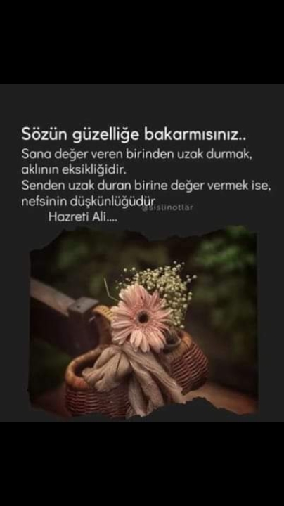 @storling5