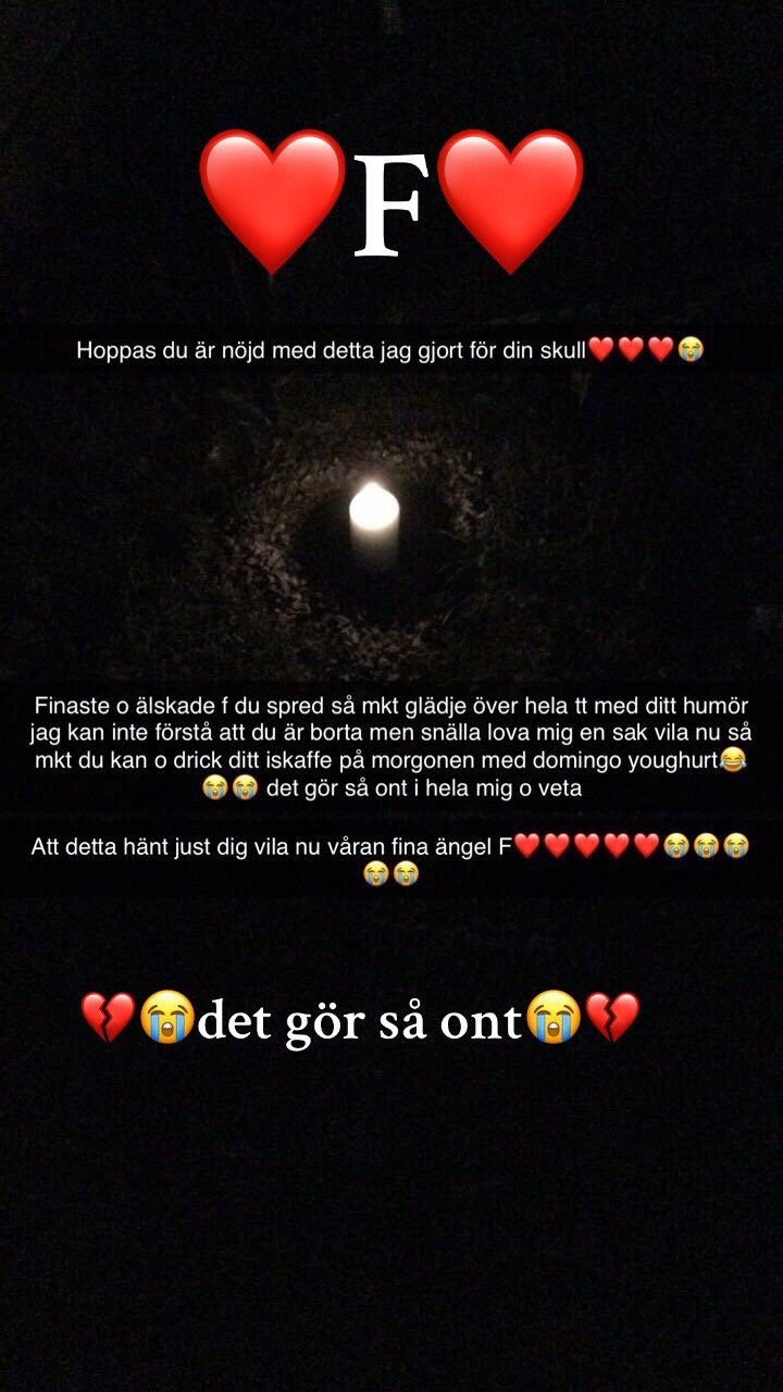 @💕🐺 𝐅𝐈𝐍𝐃𝐔𝐒 🐺💕