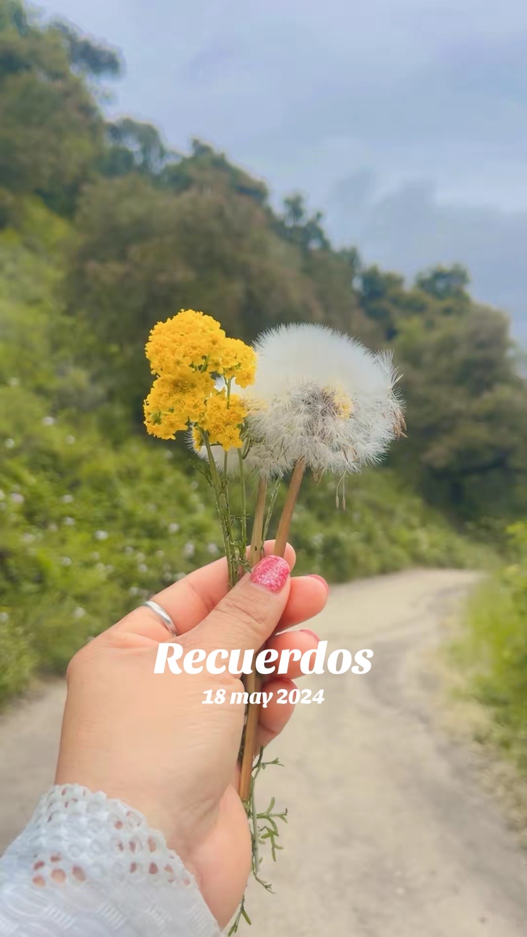 @𝒞𝒽𝑒𝓁𝒶 𝓂𝑒𝓃𝒹𝑒𝓏 ☘️🌺