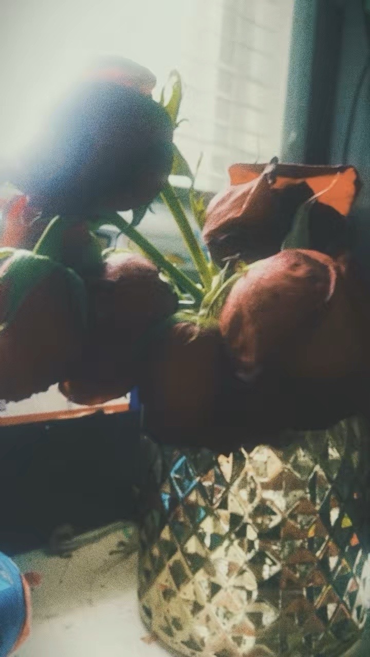 @pinkunicornheart_