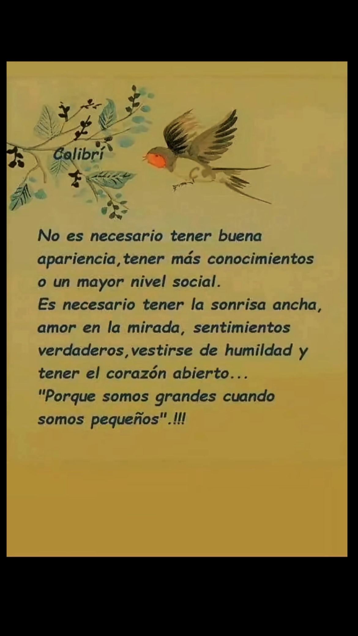 @Pedro Cruz