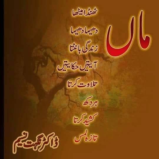 @Dr Nighat Nasim